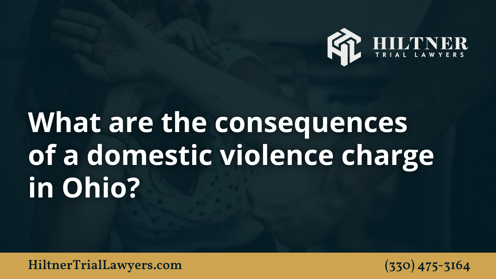 What are the consequences of a domestic violence charge in Ohio - Hiltner Trial Lawyers Ohio - max hiltner